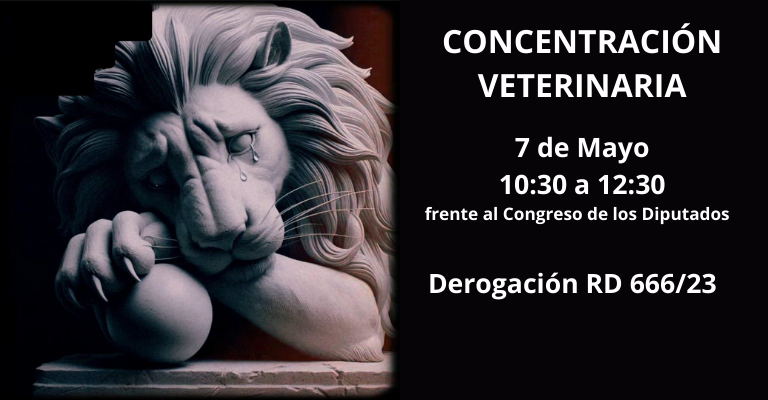 Manifestación 7 de Mayo